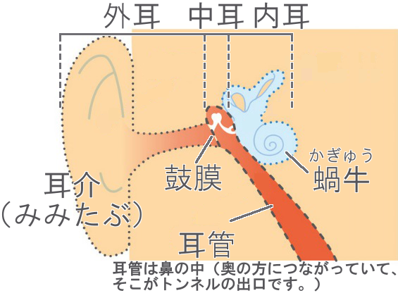 耳 水 抜け ない